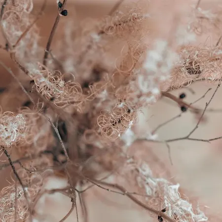 Hoellhaus 아파트 *