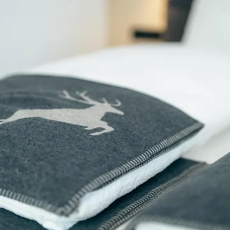 아파트 Hoellhaus *