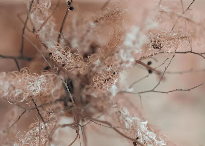 Hoellhaus Apartamento *