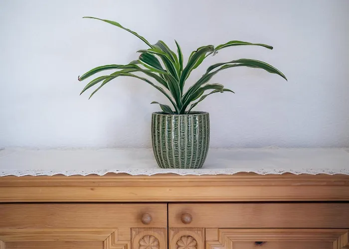 Hoellhaus Apartamento *